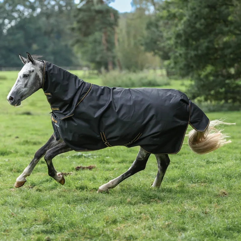 Bucas Irish 50g Turnout Rug and Neck Set - Black/Gold